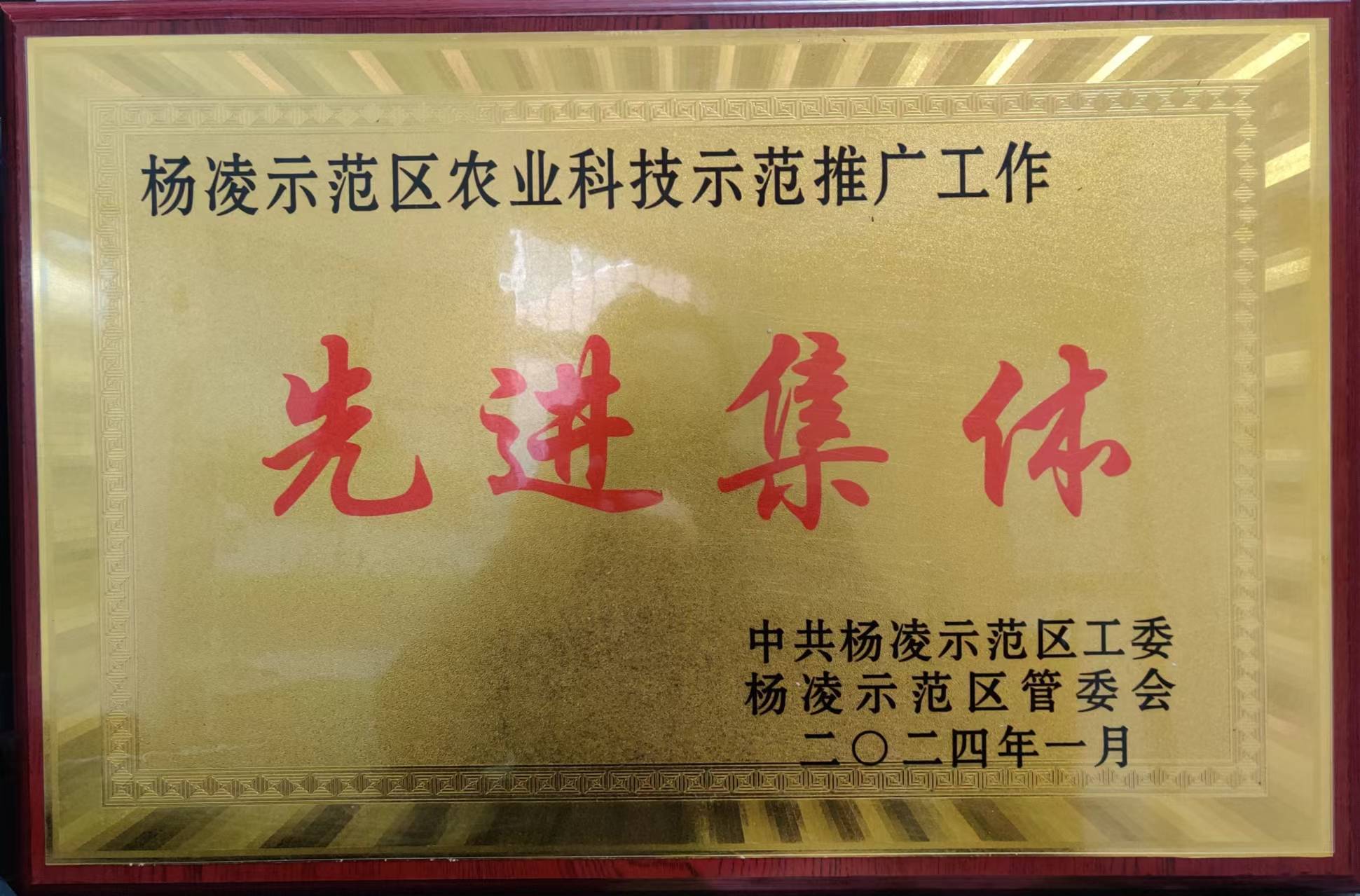 杨凌绿保公司荣获杨凌示范区农业科技推广先进集体